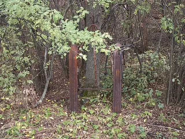 Old rusted sled runners in the bush